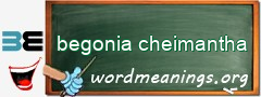 WordMeaning blackboard for begonia cheimantha
